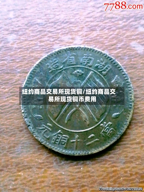 纽约商品交易所现货铜/纽约商品交易所现货铜币费用