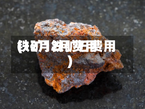 铁矿12月费用(12月铁矿石费用)-第3张图片