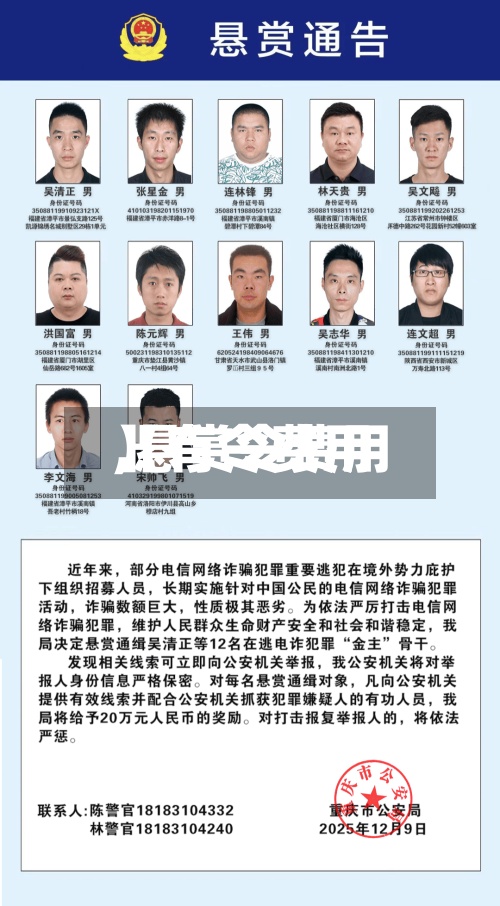 【有令费用,悬赏令费用】