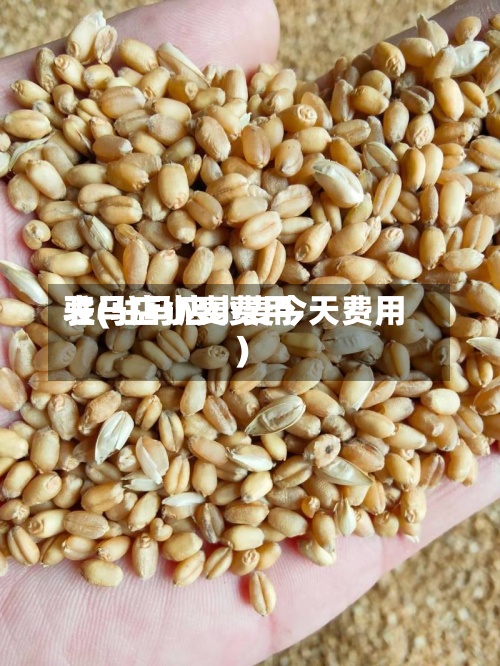 驻马店小麦费用表(驻马店小麦今天费用)-第2张图片