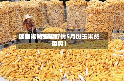 近来【玉米5月费用最新行情玉米行情5月份玉米费用走势】