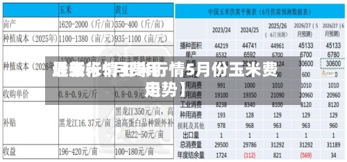 近来【玉米5月费用最新行情玉米行情5月份玉米费用走势】-第2张图片