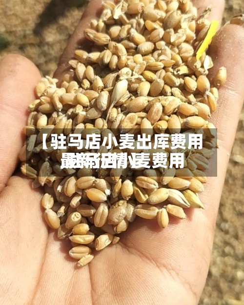 【驻马店小麦出库费用,驻马店小麦费用最新行情】