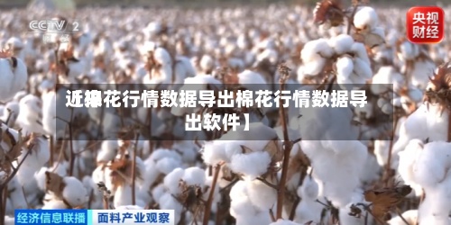 近来【棉花行情数据导出棉花行情数据导出软件】-第2张图片