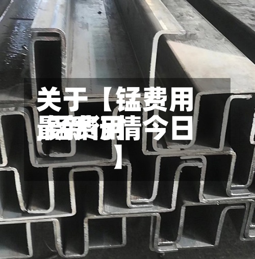 关于【锰费用,锰费用最新行情今日】-第2张图片