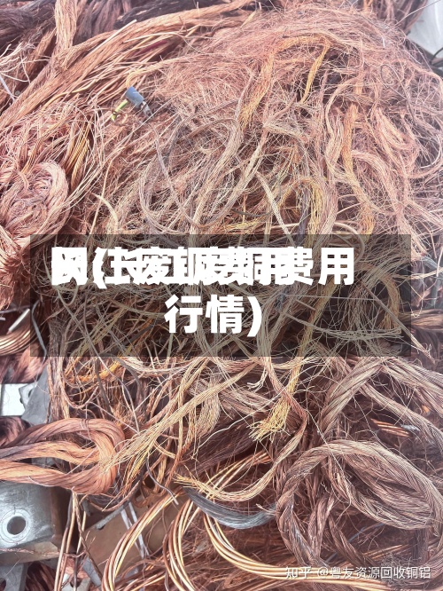 长江废铜费用网(长江废铜费用行情)