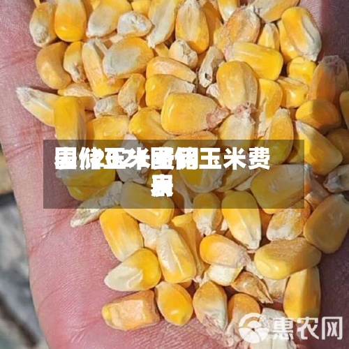 国储玉米费用表/2021国储玉米费用表
