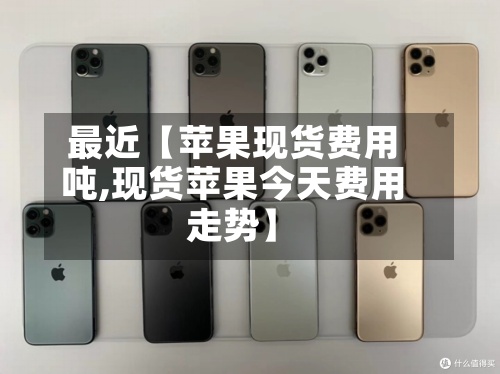 最近【苹果现货费用吨,现货苹果今天费用走势】-第2张图片