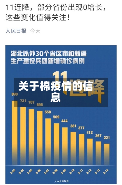 关于棉疫情的信息-第2张图片