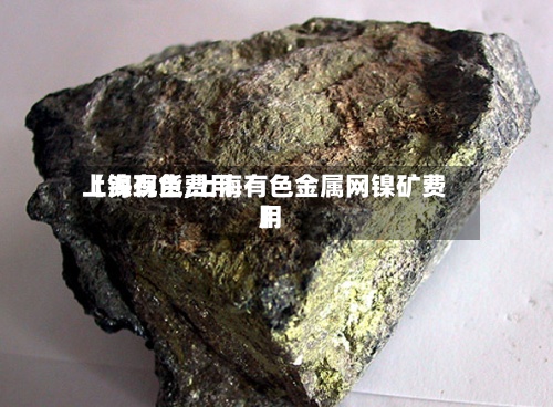 【镍现货费用上海有色,上海有色金属网镍矿费用】-第3张图片