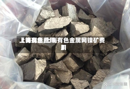 【镍现货费用上海有色,上海有色金属网镍矿费用】-第2张图片