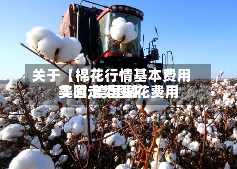 关于【棉花行情基本费用美国,美国棉花费用实时走势图】-第2张图片