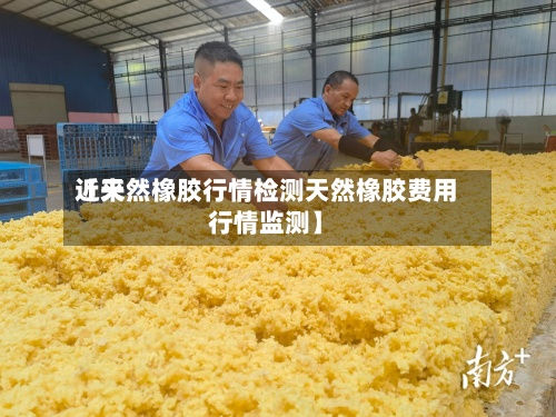 近来【天然橡胶行情检测天然橡胶费用行情监测】-第2张图片