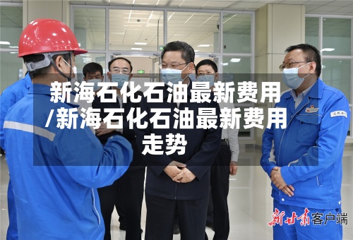 新海石化石油最新费用/新海石化石油最新费用走势-第2张图片