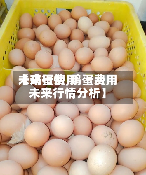 【鸡蛋费用未来行情,鸡蛋费用未来行情分析】-第2张图片