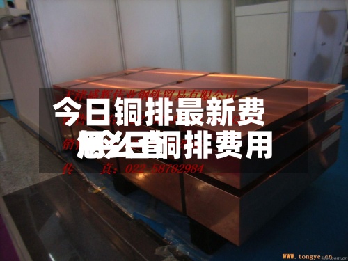 今日铜排最新费用/今日铜排费用怎么查-第2张图片