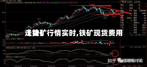 【铁矿行情实时,铁矿现货费用走势】-第2张图片