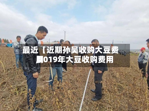最近【近期孙吴收购大豆费用,2019年大豆收购费用】