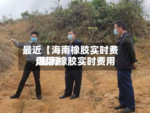 最近【海南橡胶实时费用,海南橡胶实时费用走势】