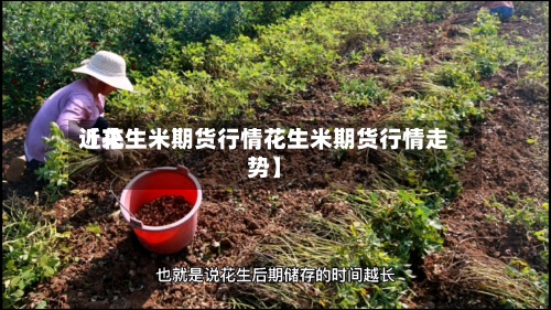 近来【花生米期货行情花生米期货行情走势】-第2张图片