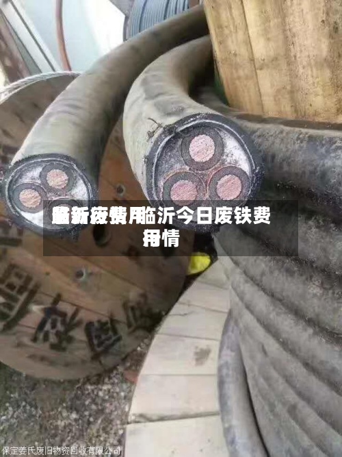 临沂废费用最新行情/临沂今日废铁费用行情-第2张图片