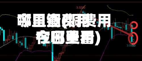 今日铜费用哪里查(铜费用今日费用在哪里看)