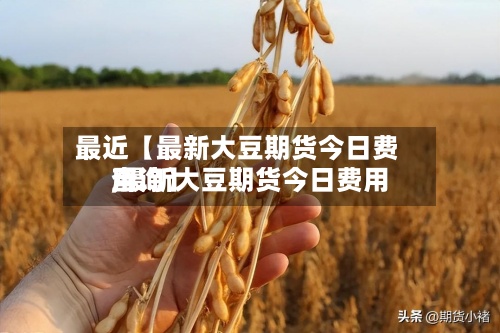 最近【最新大豆期货今日费用,最新大豆期货今日费用查询】-第2张图片