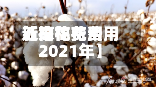 近来【棉花费用新高棉花费用2021年】