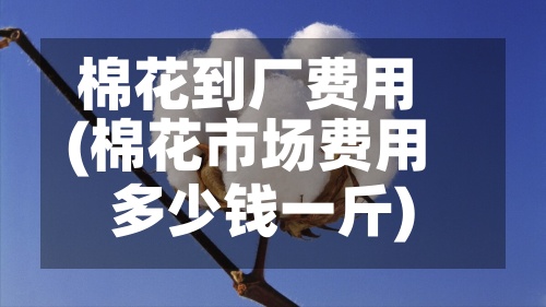 棉花到厂费用(棉花市场费用多少钱一斤)-第2张图片