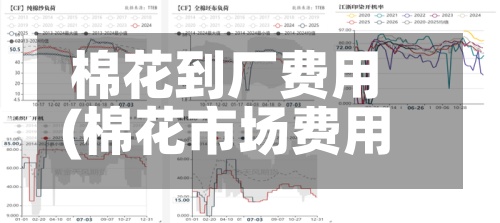 棉花到厂费用(棉花市场费用多少钱一斤)