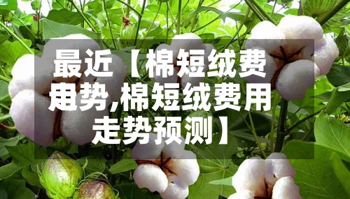 最近【棉短绒费用走势,棉短绒费用走势预测】