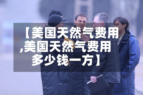 【美国天然气费用,美国天然气费用多少钱一方】