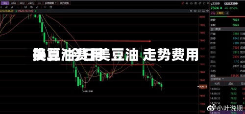 美豆油费用换算/今日美豆油 走势费用-第2张图片
