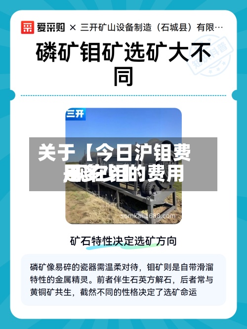 关于【今日沪钼费用,现在钼的费用是多少】-第2张图片