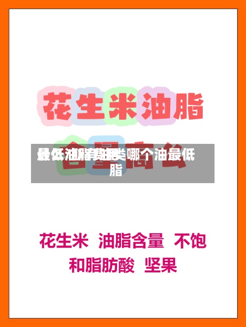 什么油脂费用最低/所有油类哪个油最低脂
