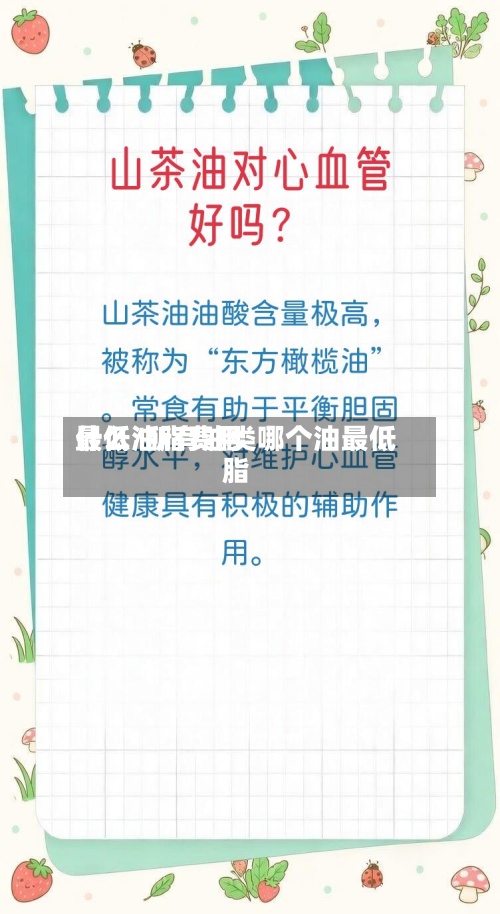 什么油脂费用最低/所有油类哪个油最低脂-第2张图片