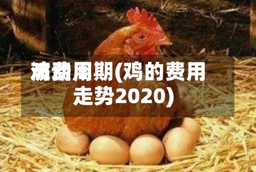 鸡费用波动周期(鸡的费用走势2020)