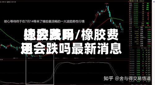 橡胶费用还会跌吗/橡胶费用还会跌吗最新消息
