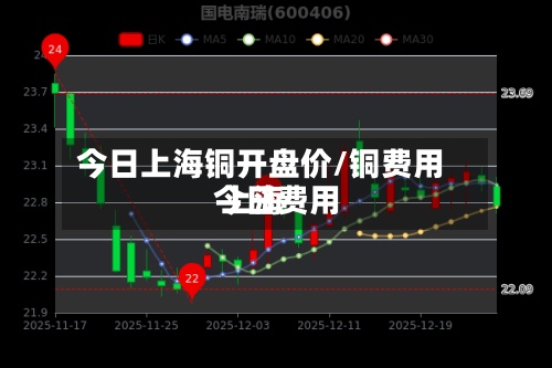 今日上海铜开盘价/铜费用今日费用 上海