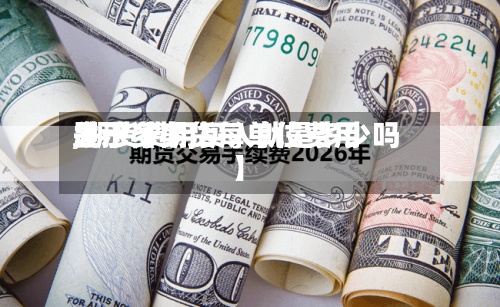 关于【期货每单位费用,期货费用显示多少,买入就是多少吗】-第2张图片