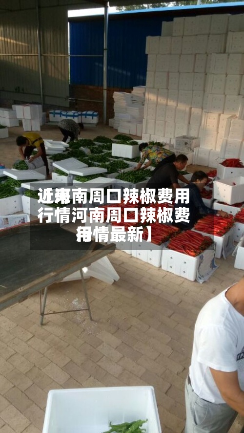 近来【河南周口辣椒费用行情河南周口辣椒费用行情最新】