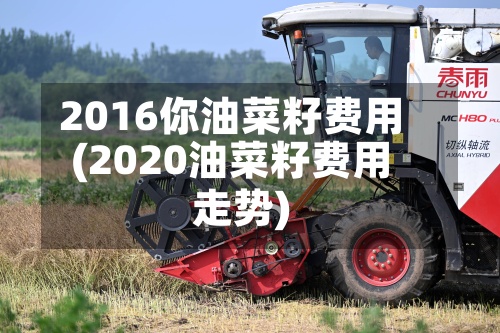 2016你油菜籽费用(2020油菜籽费用走势)