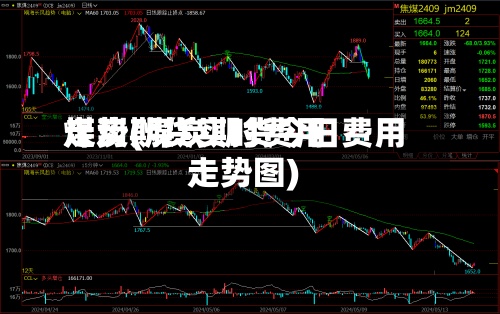 煤炭期货实时费用走势(煤炭期货今日费用走势图)