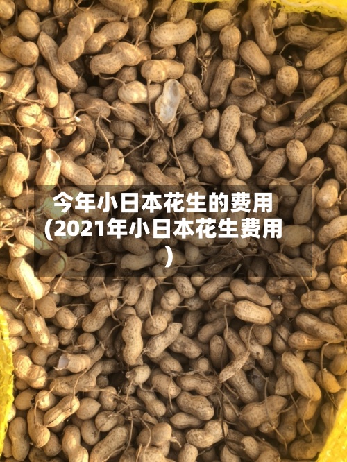 今年小日本花生的费用(2021年小日本花生费用)