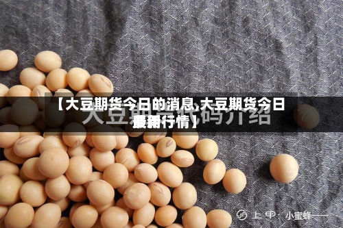 【大豆期货今日的消息,大豆期货今日费用最新行情】-第2张图片