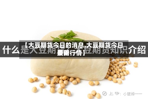 【大豆期货今日的消息,大豆期货今日费用最新行情】-第3张图片
