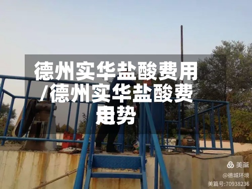 德州实华盐酸费用/德州实华盐酸费用走势