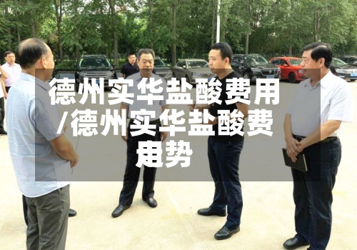 德州实华盐酸费用/德州实华盐酸费用走势-第2张图片