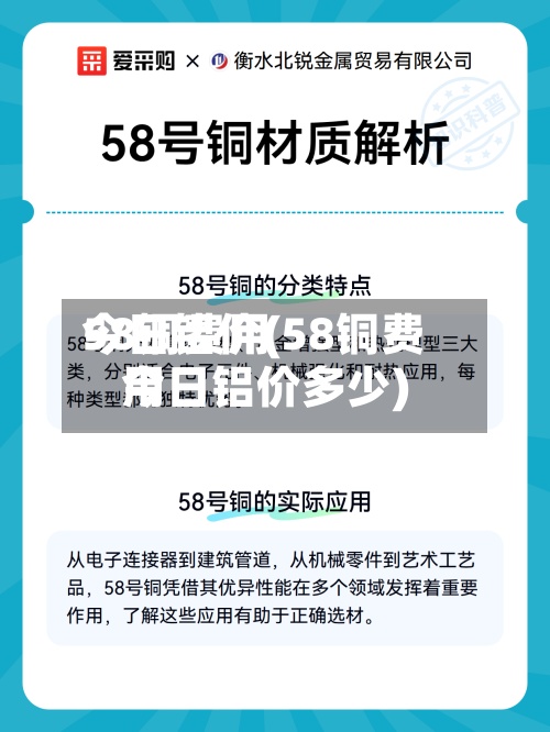 58铜费用今日铝价(58铜费用今日铝价多少)-第3张图片
