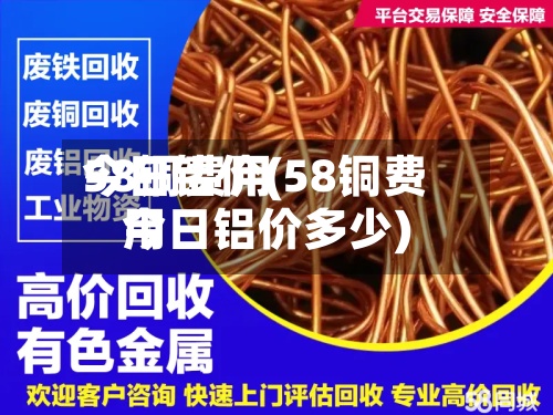 58铜费用今日铝价(58铜费用今日铝价多少)-第2张图片